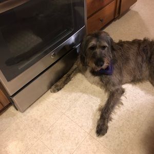 Meet your Posher, Nancy